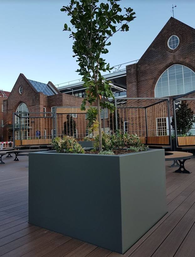 Heavy-duty commercial planters in a civic setting