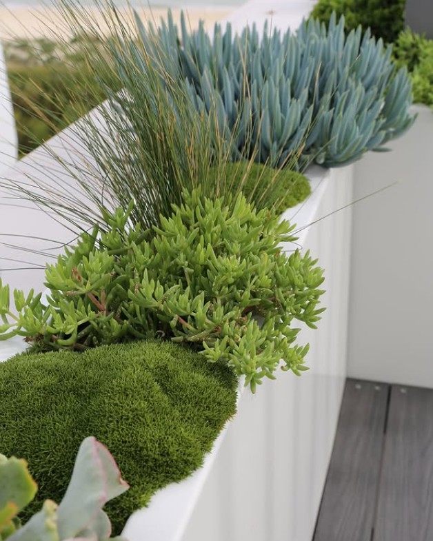 POBOX-designed imported planters made to order