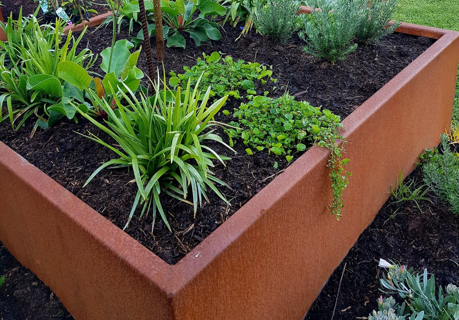 Corten steel landscape planters