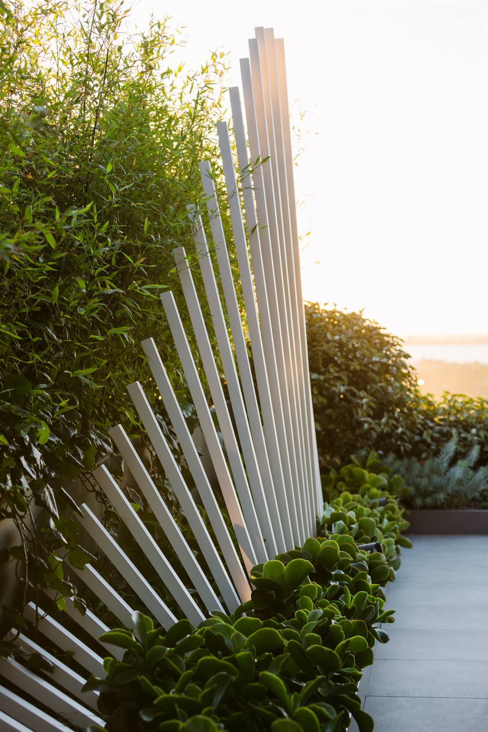 Architectural metal screen and rooftop planting at golden hour